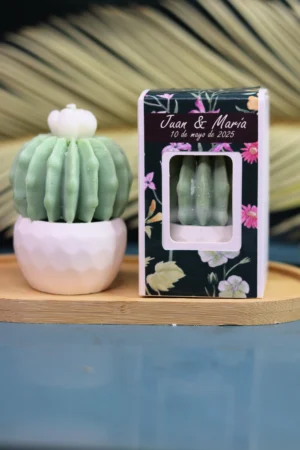 Vela Cactus