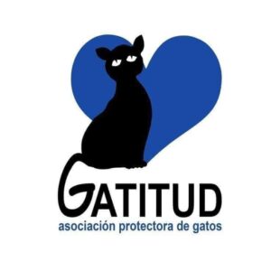 Gatitud Asociación Protectora de gatos