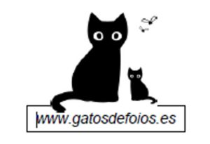 Amigos de los Gatos de Foios