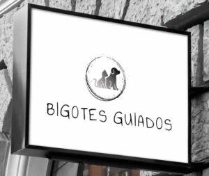 BIGOTES GUIADOS